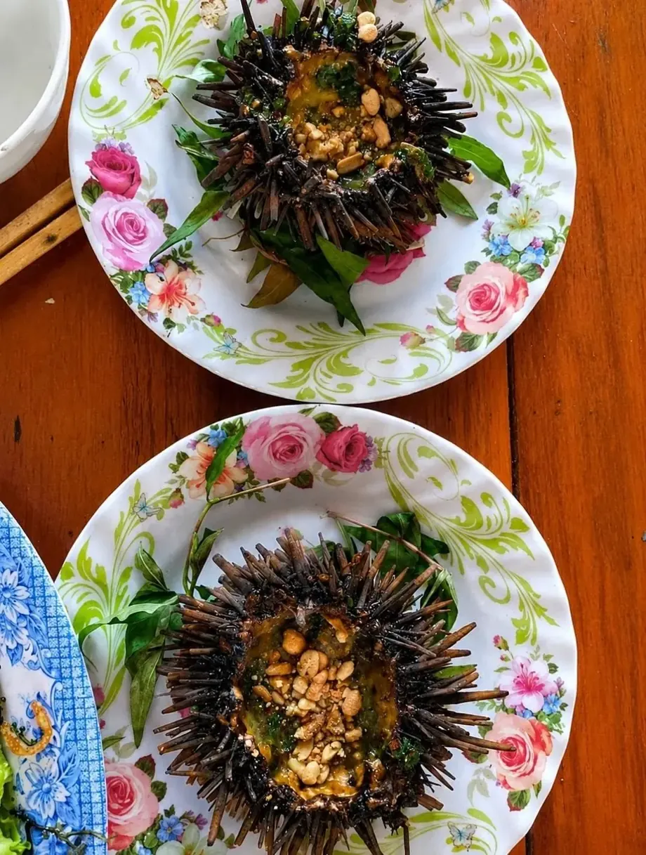 Nhum biển